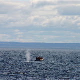  &ndash; Taudossac - Soplido de Ballena