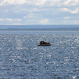 &ndash; Taudossac - Ballenas