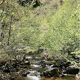  &ndash; Río
