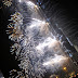 DSC03328.JPG