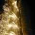 DSC03330.JPG