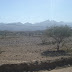 DSC03474.JPG