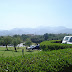 DSC03587.JPG
