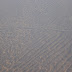 DSC03645.JPG