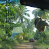 DSC02954.JPG