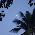 DSC03022.JPG