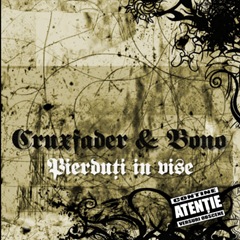 01. Pierdu úi  «n vise
