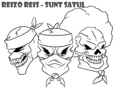 reizo reis - sunt satul(coperta)