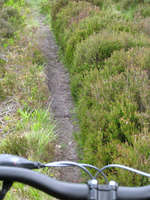 my perspective before heading down, more single track