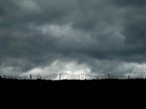 for an hour or two, it threatened but never quite rained.  the wind was good for keeping the bugs away.