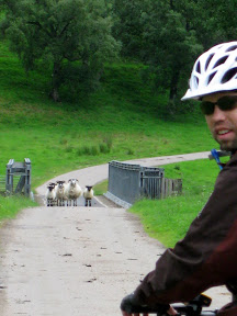 day five was longer with some headwind and rain, but the trail was a lot easier.  these little guys were just waiting to greet us on the bridge.