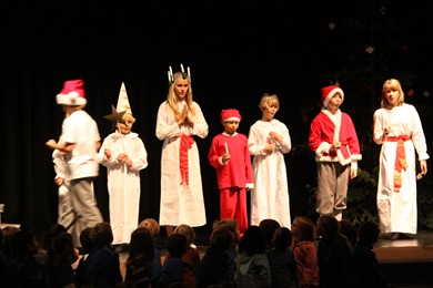 Christmas Lights Assembly