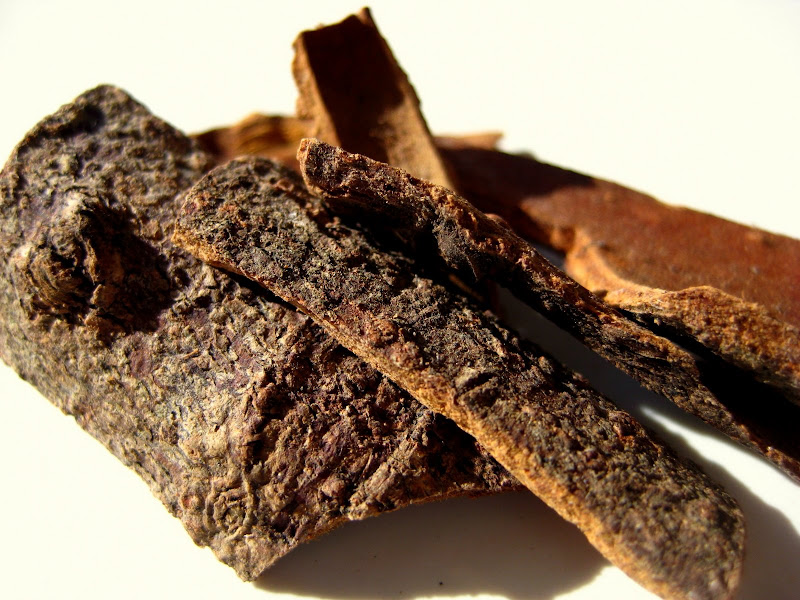 Cinnamon bark
