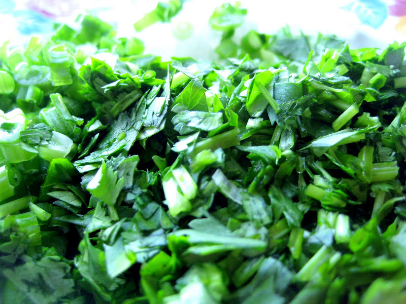 Cilantro