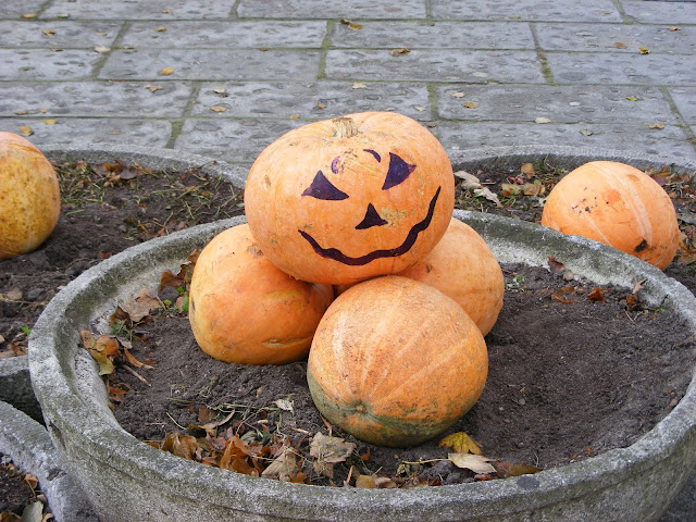 Halloween w Starym Zoo - bez strachów i przebierańców, ale za to z ogromną ilością złowrogo uśmiechających się dyń... (fot. NiK)