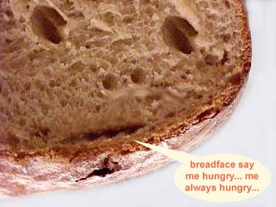 [breadface.jpg]