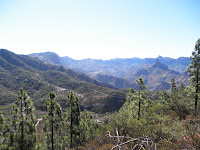 P8070029.JPG