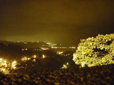 山城夜景