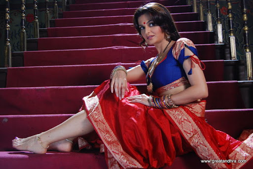 Actress Monica Bedi Saree Exposing Photos