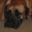 DSC00197.JPG