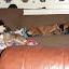 DSC00201.JPG