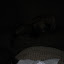 P4220158.JPG