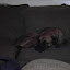 P4220161.JPG