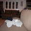 P4220167.JPG