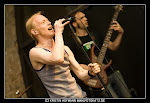 7IEBEN_Rockshow_003.jpg