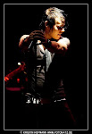 Lovex_001.jpg