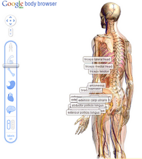 [google-body-browser[4].png]