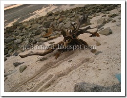 IMG_4205 IMG_4205