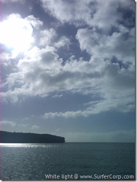 IMG00469-20101213-0807[1]