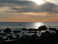 P1090014_2.JPG Photo