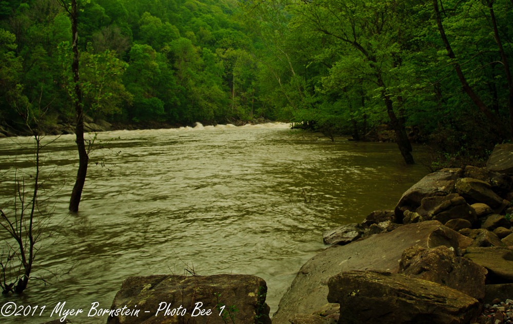 [New River  _ROT1535West Virginia  May 01, 2011 NIKON D3S[3].jpg]