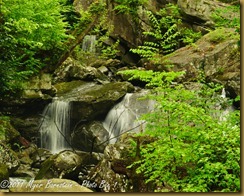 Water running in gorge _ROT1553West Virginia  May 01, 2011 NIKON D3S