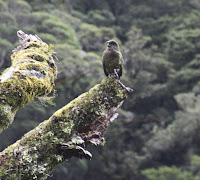 New Zealand-133-2.jpg