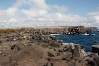 Galapagos (175).JPG