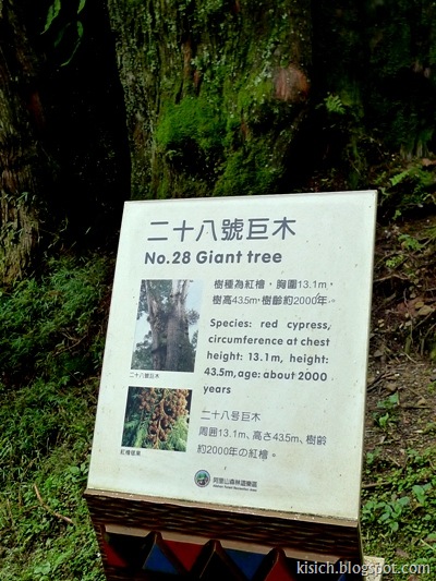 [1036.jpg]