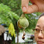 July RTC-Agarwood July RTC-Agarwood