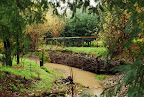The brown creek in front of Dominus. Look at that beautiful wall of branches. The brown creek in front of Dominus. Look at that beautiful wall of branches.