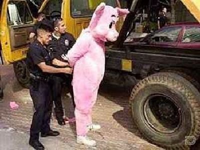 1264476777_costume_guys_arrested_15