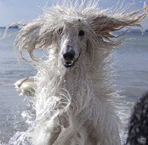 1267416166_acid_picdump_158 1267416166_acid_picdump_158
