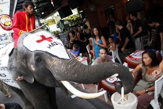 [1264393864_elephants_help_012.jpg]