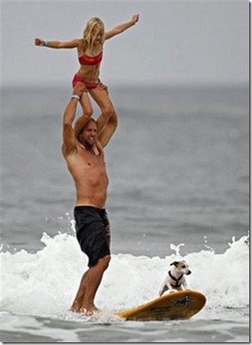 perros surf migallinero (6)
