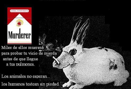 [sin tabaco migallinero.blogspot (12)[2].jpg]