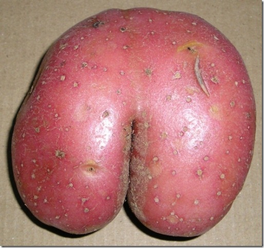 patata-culo