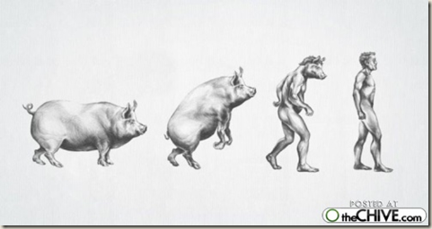 [cosasdivertidas evolución (1)[3].png]