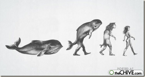 [cosasdivertidas evolución (2)[3].png]
