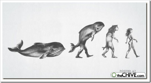 cosasdivertidas evolución (2) cosasdivertidas evolución (2)